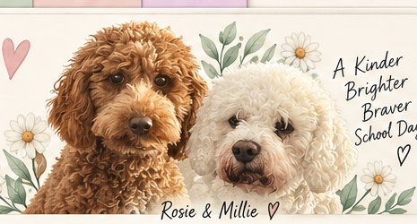 Daisy & Paws floral artwork